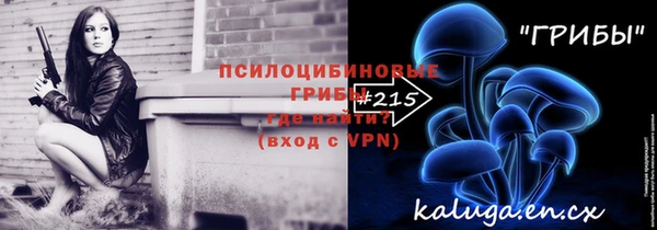 spice Елабуга