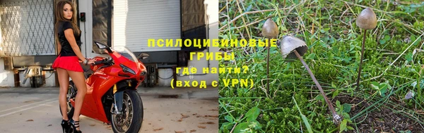 бутират Ельня