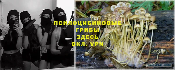 бутират Ельня