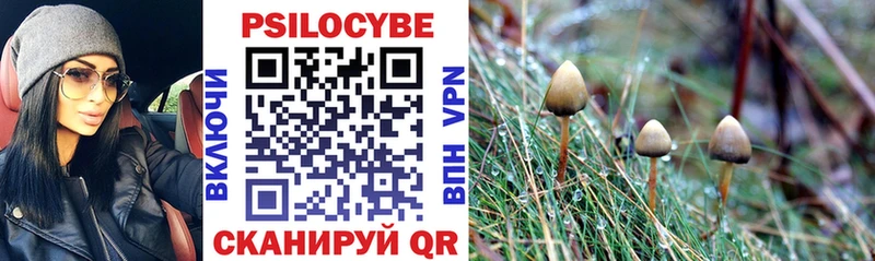 Галлюциногенные грибы мухоморы  купить наркотики сайты  Заволжье 