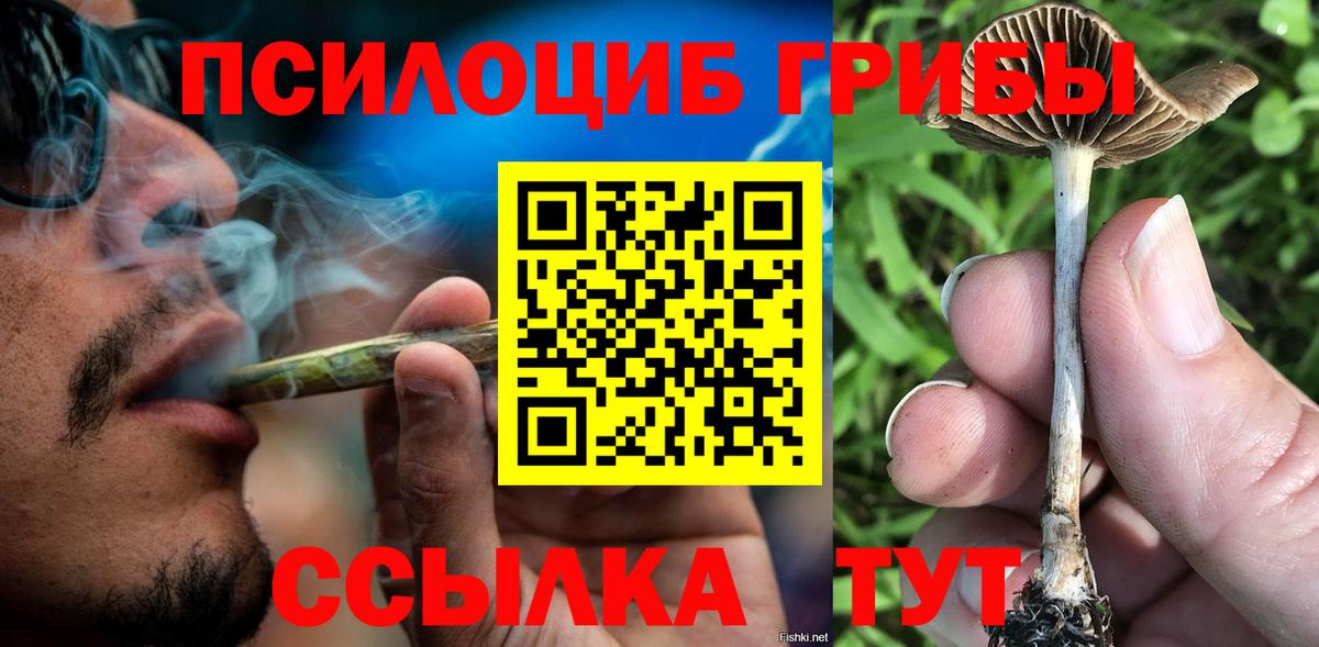 Псилоцибиновые грибы Magic Shrooms Заволжье