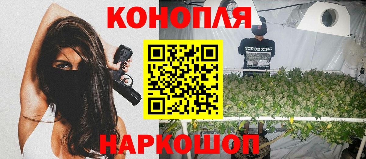 Конопля ГИДРОПОН  Марихуана ГИДРОПОН  Вход с VPN  Бошки Шишки сатива  Заволжье 